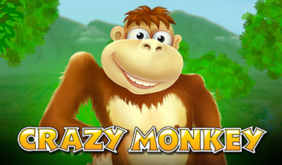 Crazy Monkey